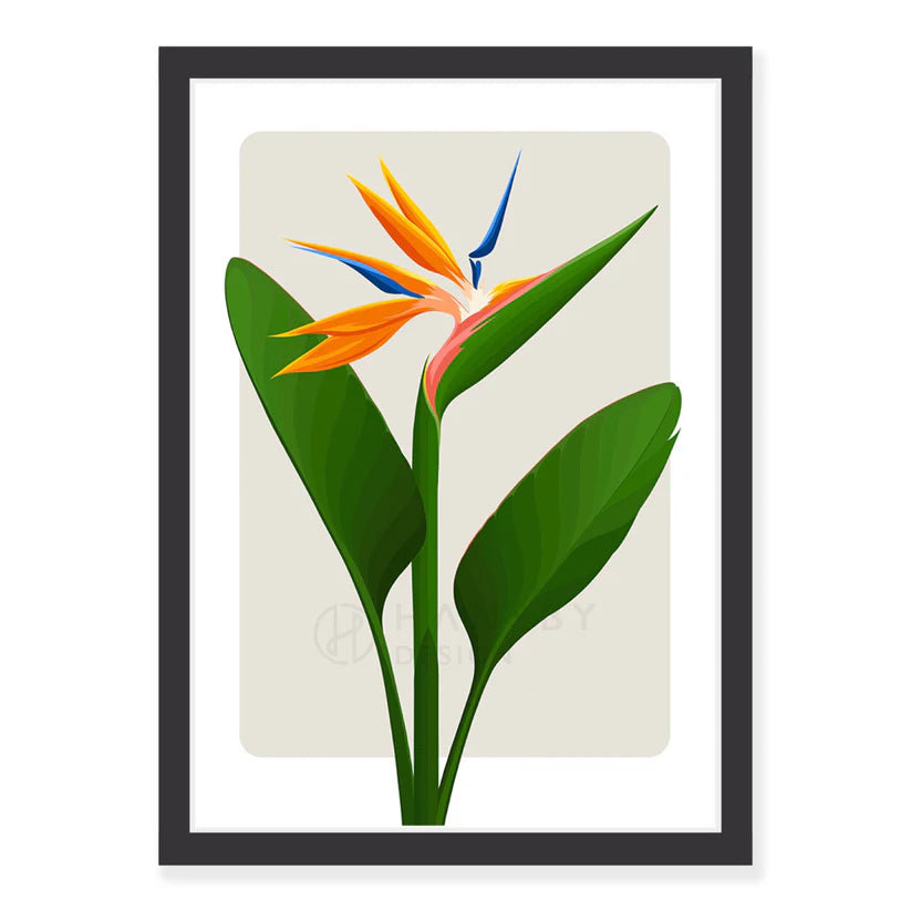 Bird of Paradise Art Print