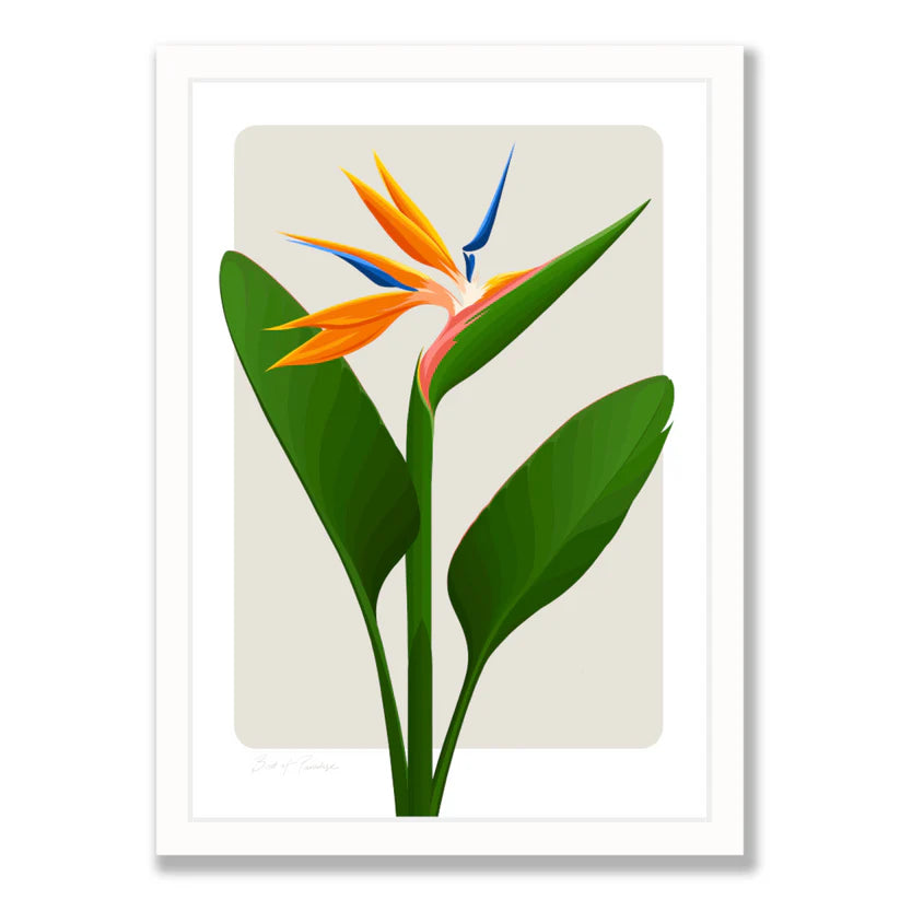 Bird of Paradise flower against a bone coloured back ground art print