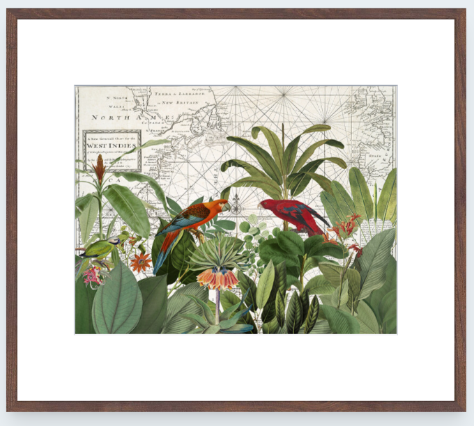 Exotic Wildlife 6 Art Print - Andrea Haase