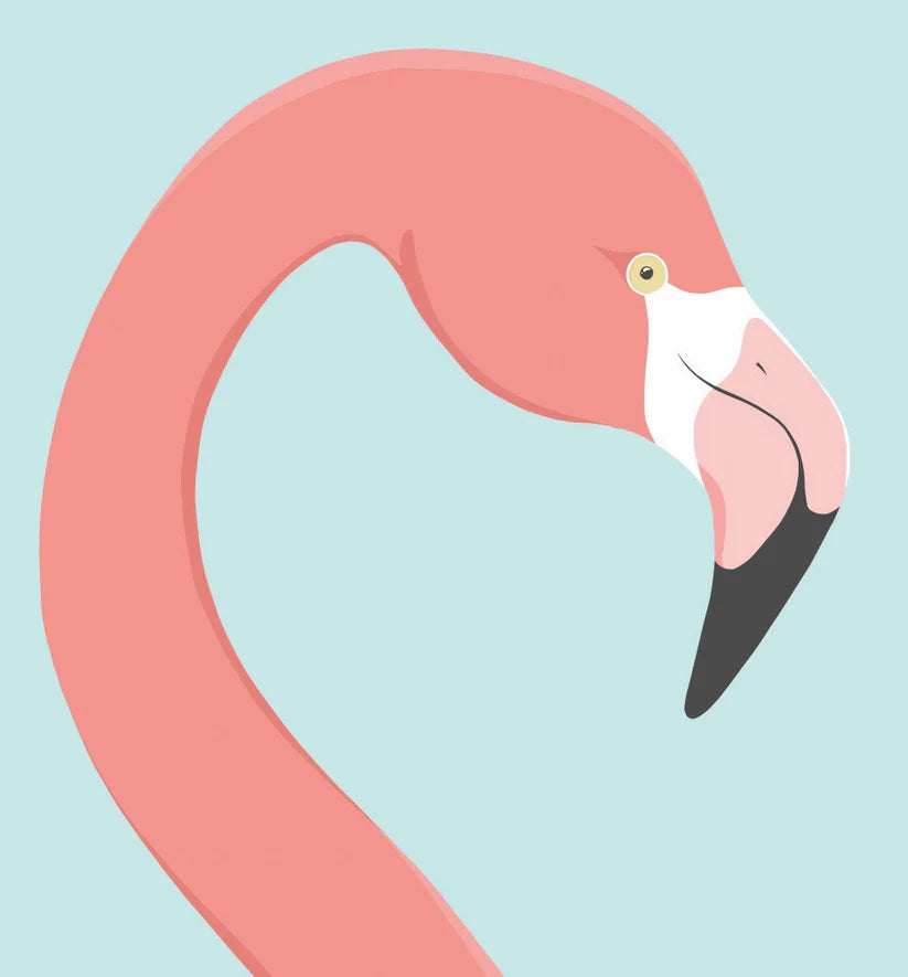 Flamingo Art Print