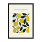 French Lemons Print