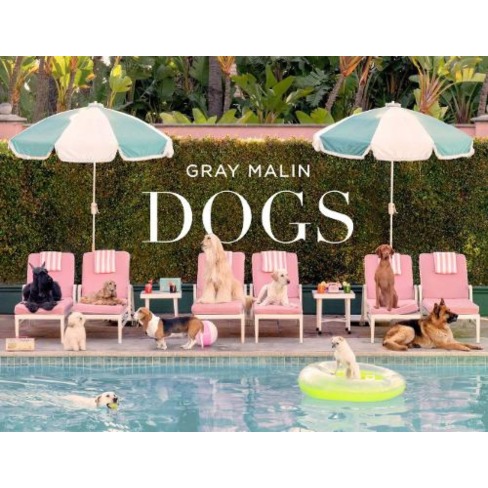 Pampered pooches in this coffee table book called Dogs by Gray Malin
