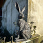 Country Hare Statue - Standing Grey