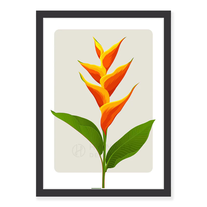 Heliconia Art Print