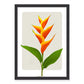 Heliconia Art Print