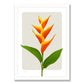 Heliconia Art Print