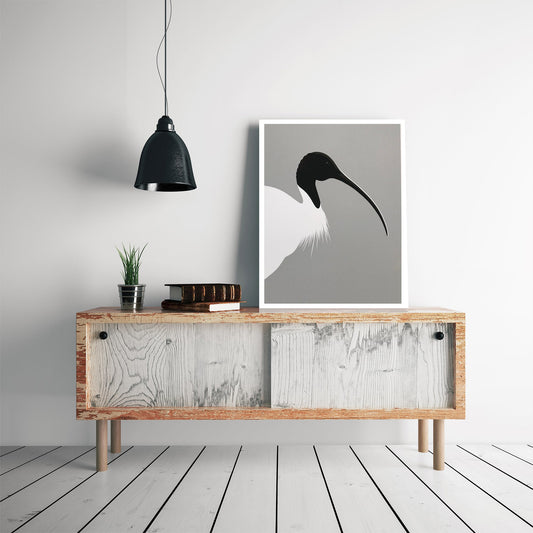 Ibis Art Print