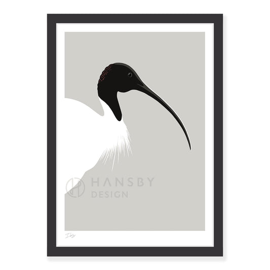 Ibis Art Print