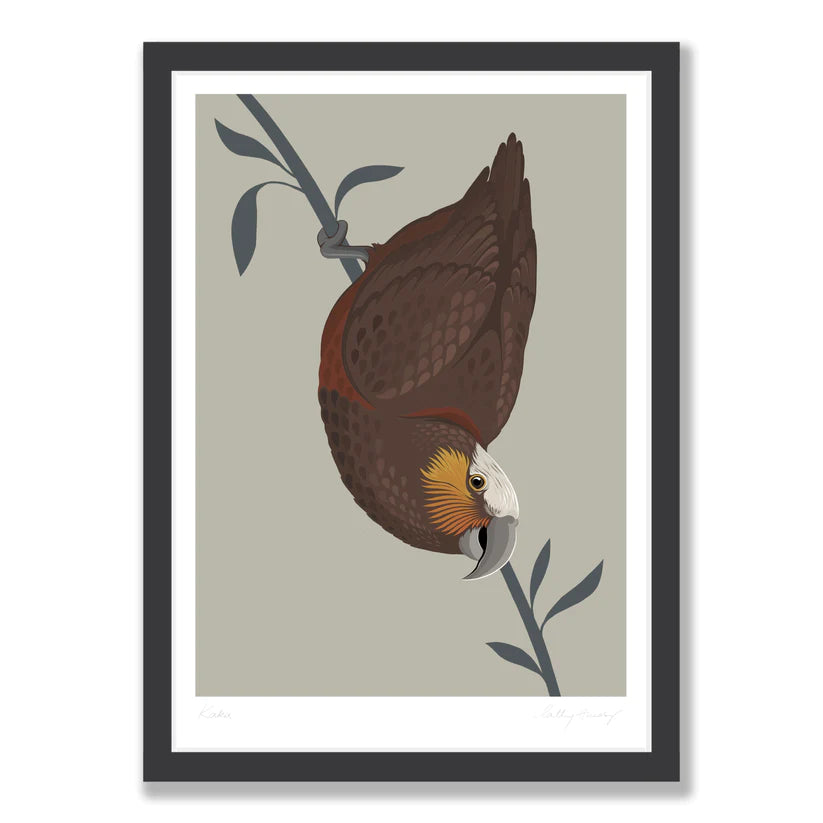 Kaka Bird Art Print