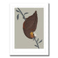 Kaka Bird Art Print