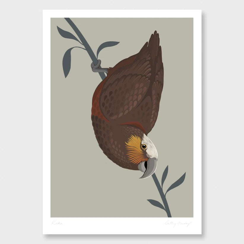 Kaka Bird Art Print