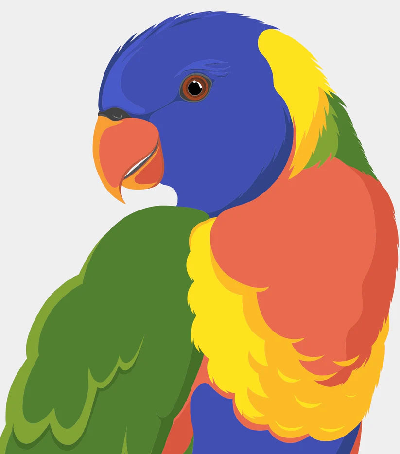 Rainbow Lorikeet Art Print