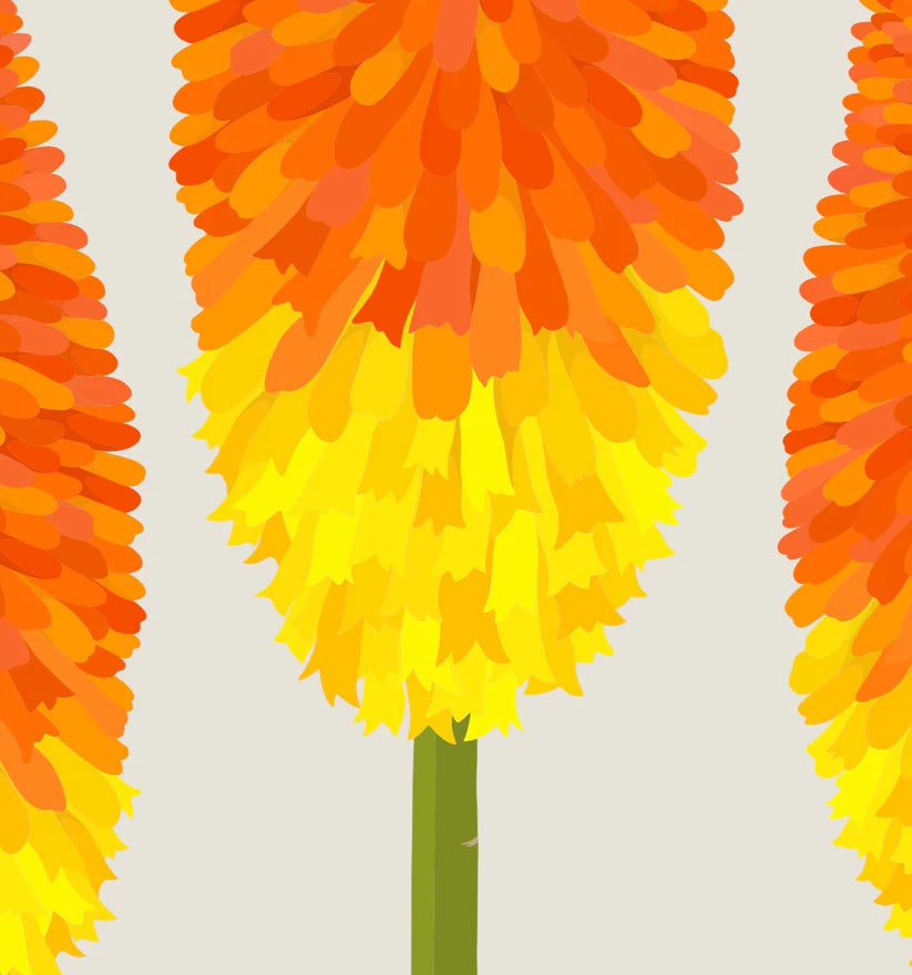 Red Hot Poker Art Print