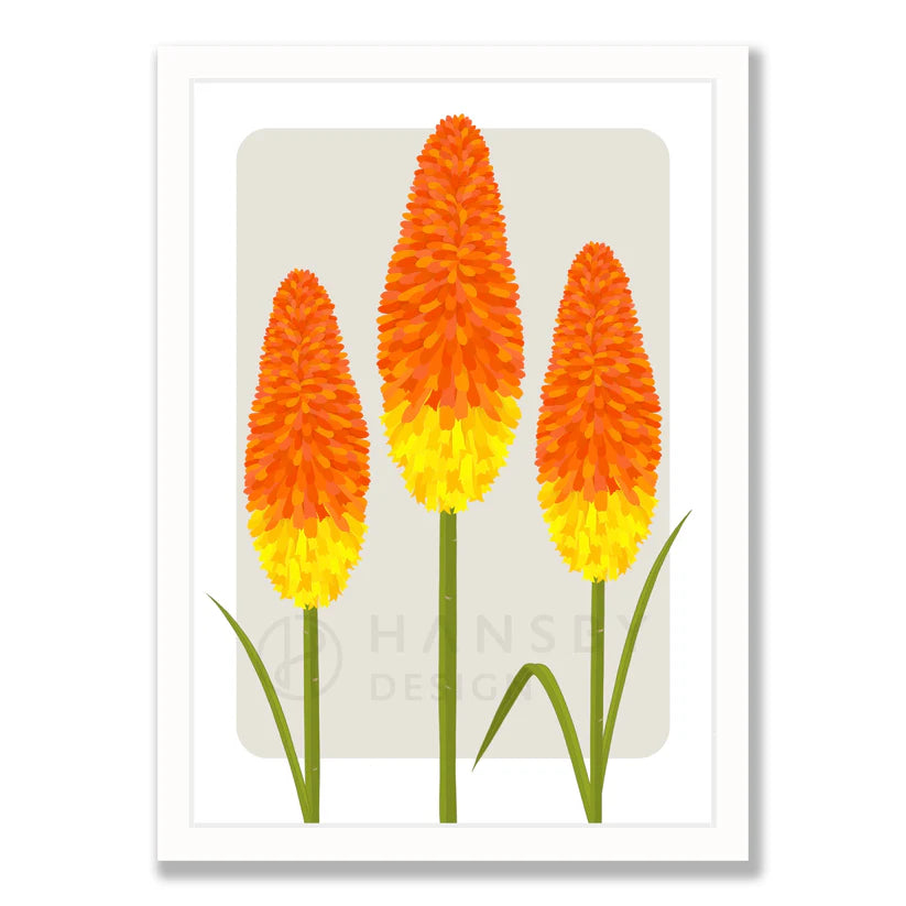 Red Hot Poker Art Print