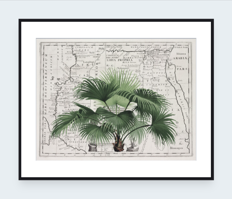 Tropical Empire 3 Art Print - Andrea Haase