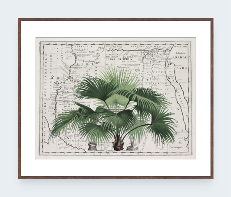 Tropical Empire 3 Art Print - Andrea Haase