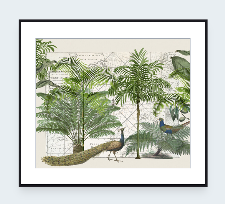 Tropical Empire 6 Art Print - Andrea Haase