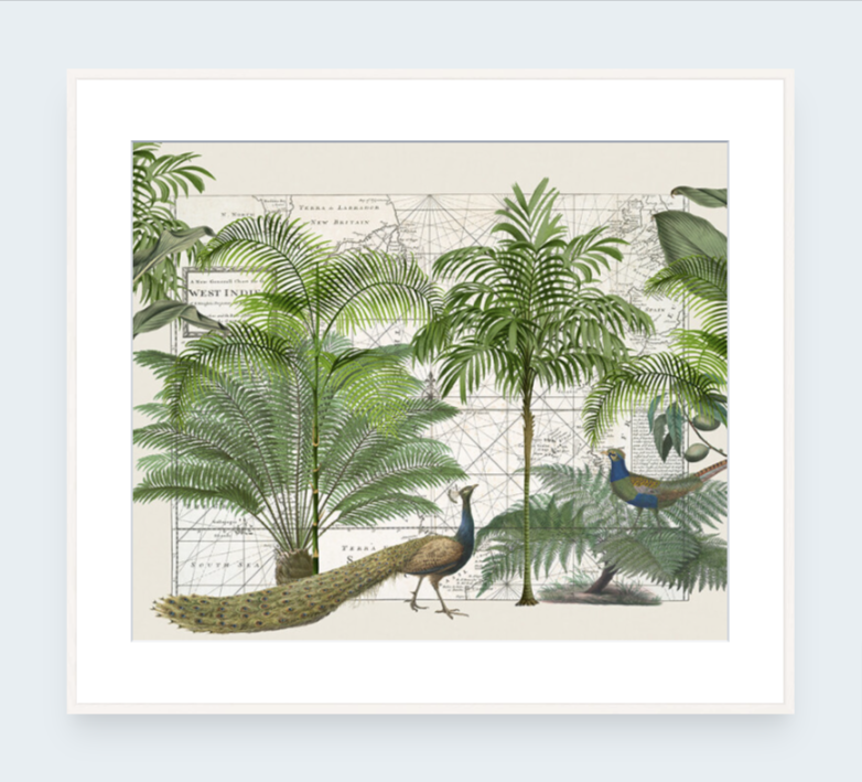 Tropical Empire 6 Art Print - Andrea Haase