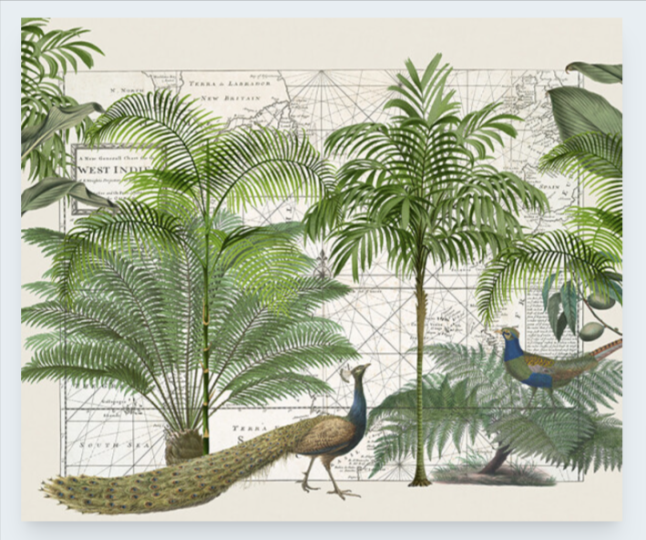 Tropical Empire 6 Art Print - Andrea Haase