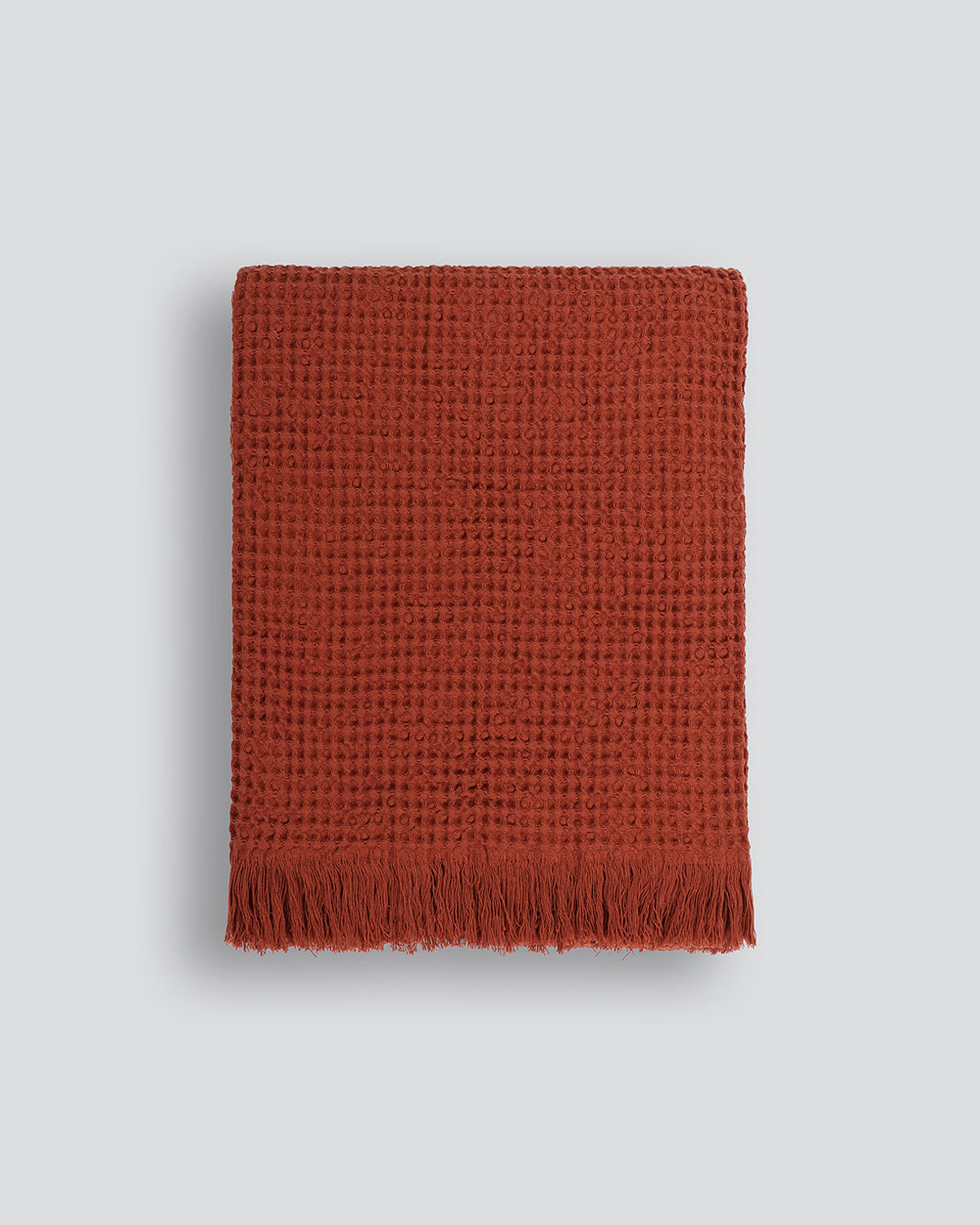 Celine 2024 wool blanket